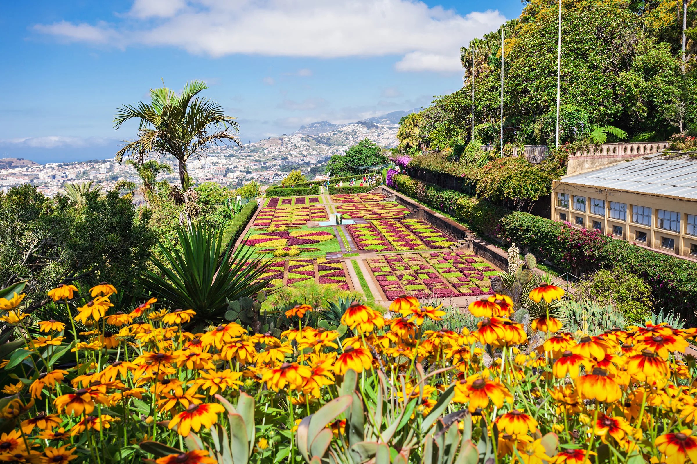 Botanical gardens in Funchal, Madeira