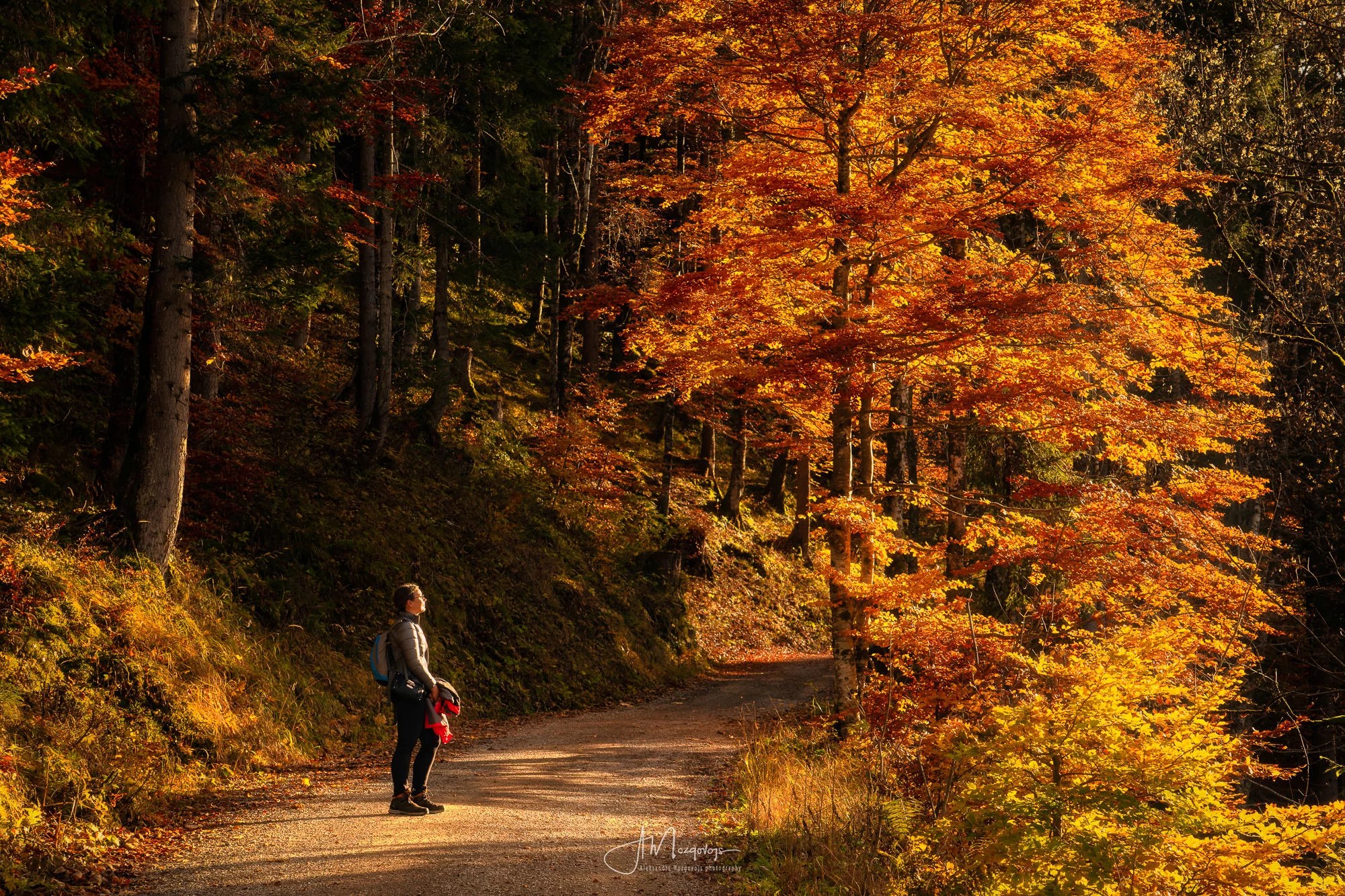 Burning autumn colors