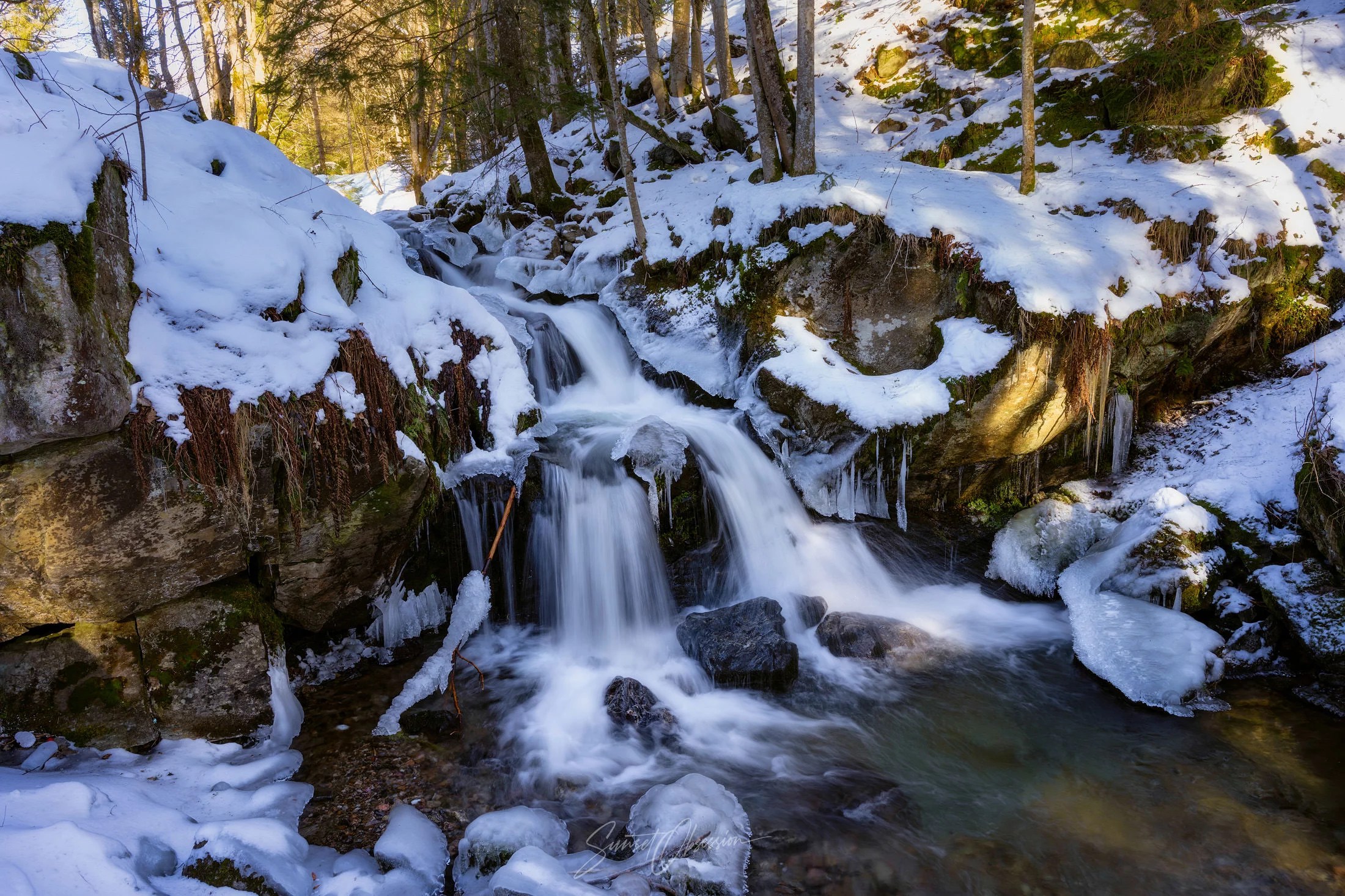 Forest stream at the Todtnau waterfalls in the Black Forest, soutern Germany