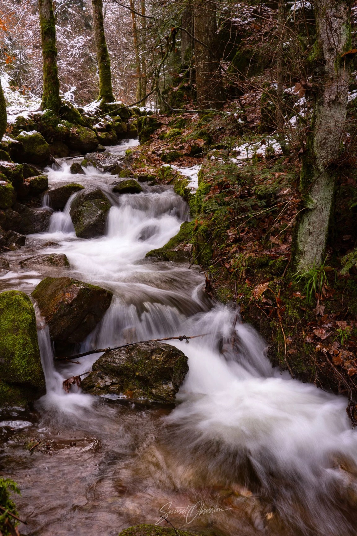 Forest Stream, Black Forest, South Germany