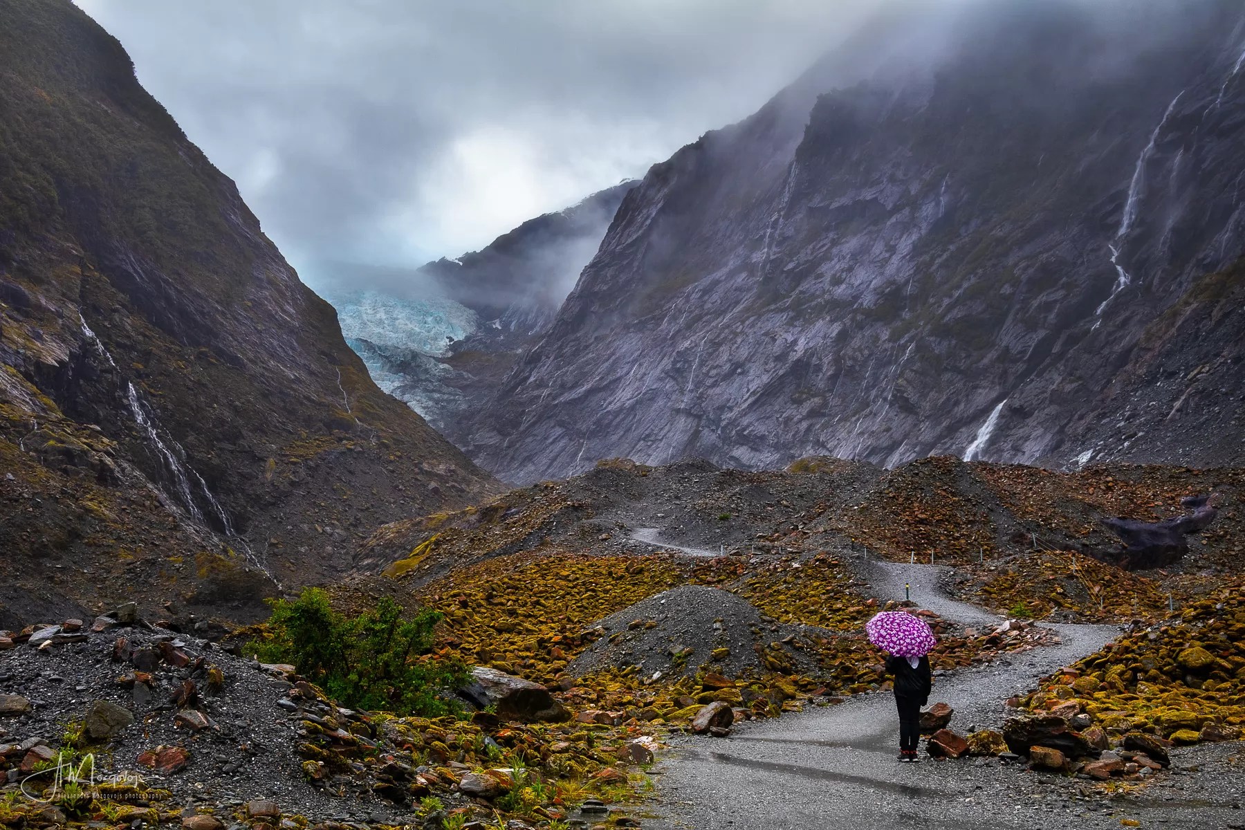 Franz Josef Glacier, New Zealand