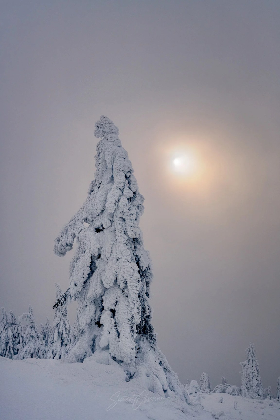 Snowy afternoon on Feldberg, Schwarzwald