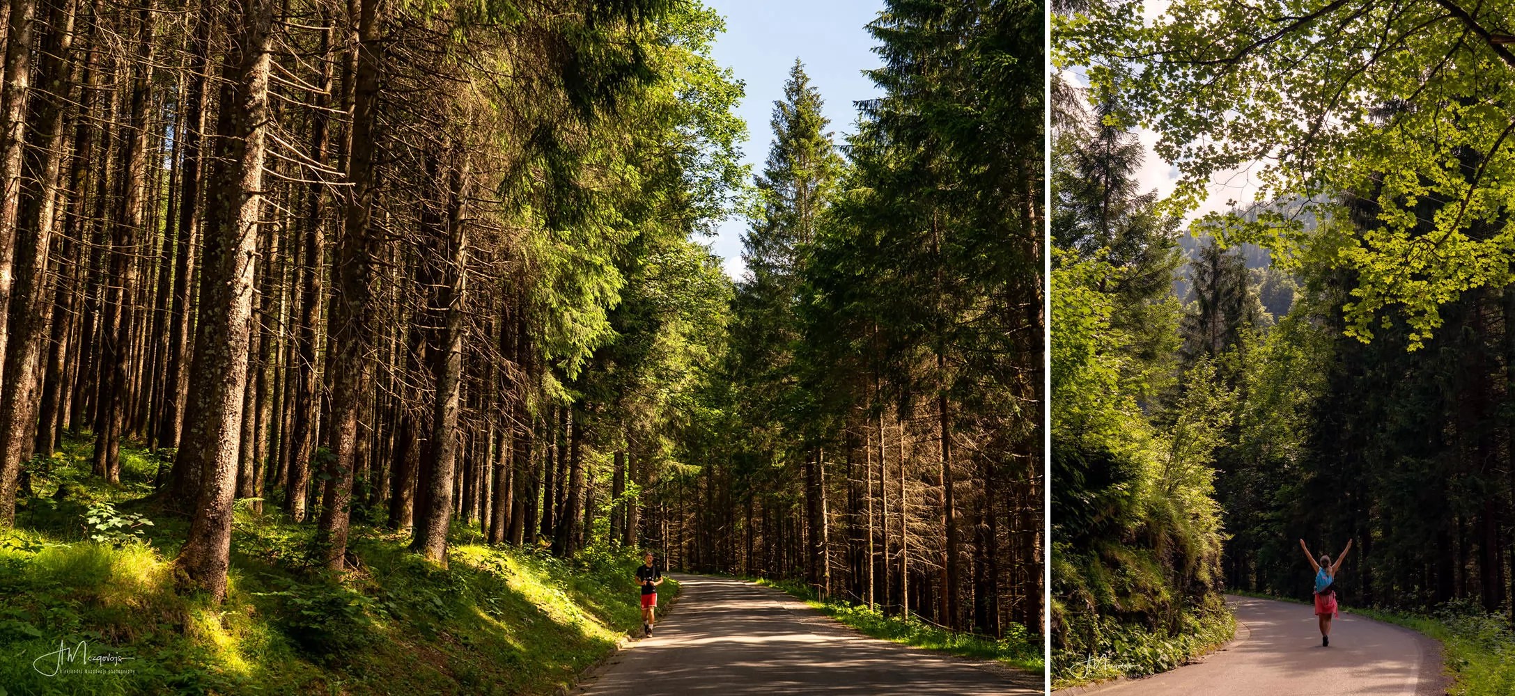 First part of the hike is a leisurely stroll through the forest