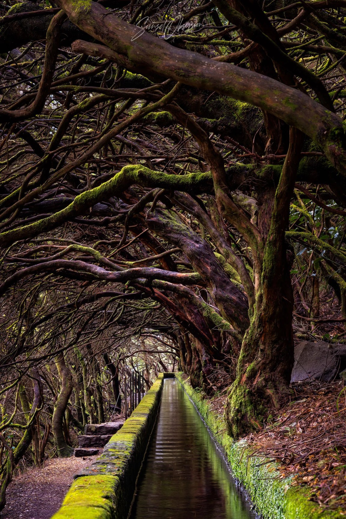 Levada das 25 Fontes is one of the most popular levada walks in Madeira