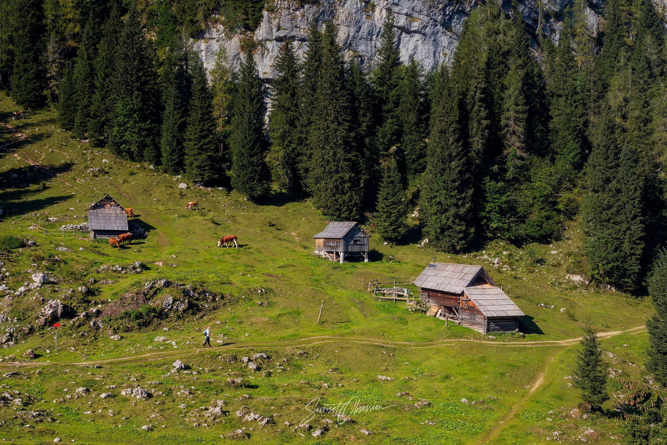 One of many alpine scenes you will have a pleasure to see