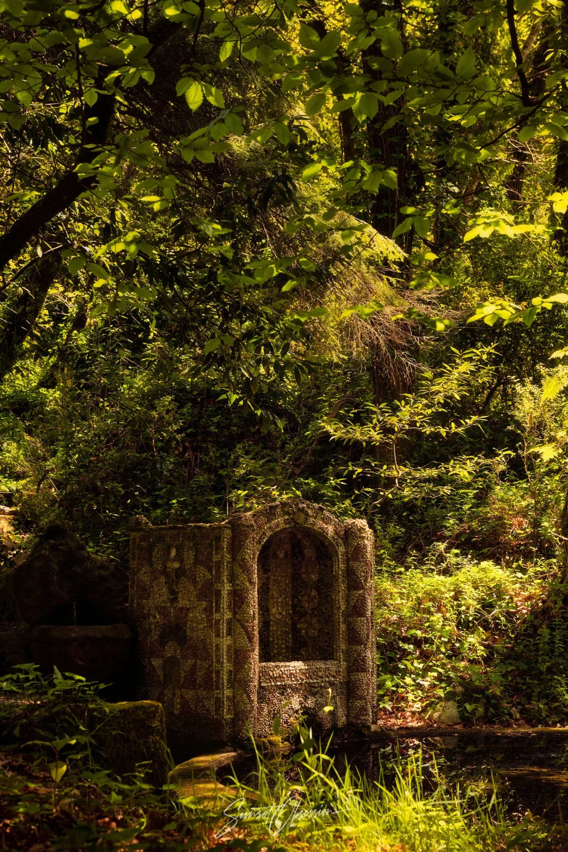 Pena gardens is a great spot for photography in Sintra
