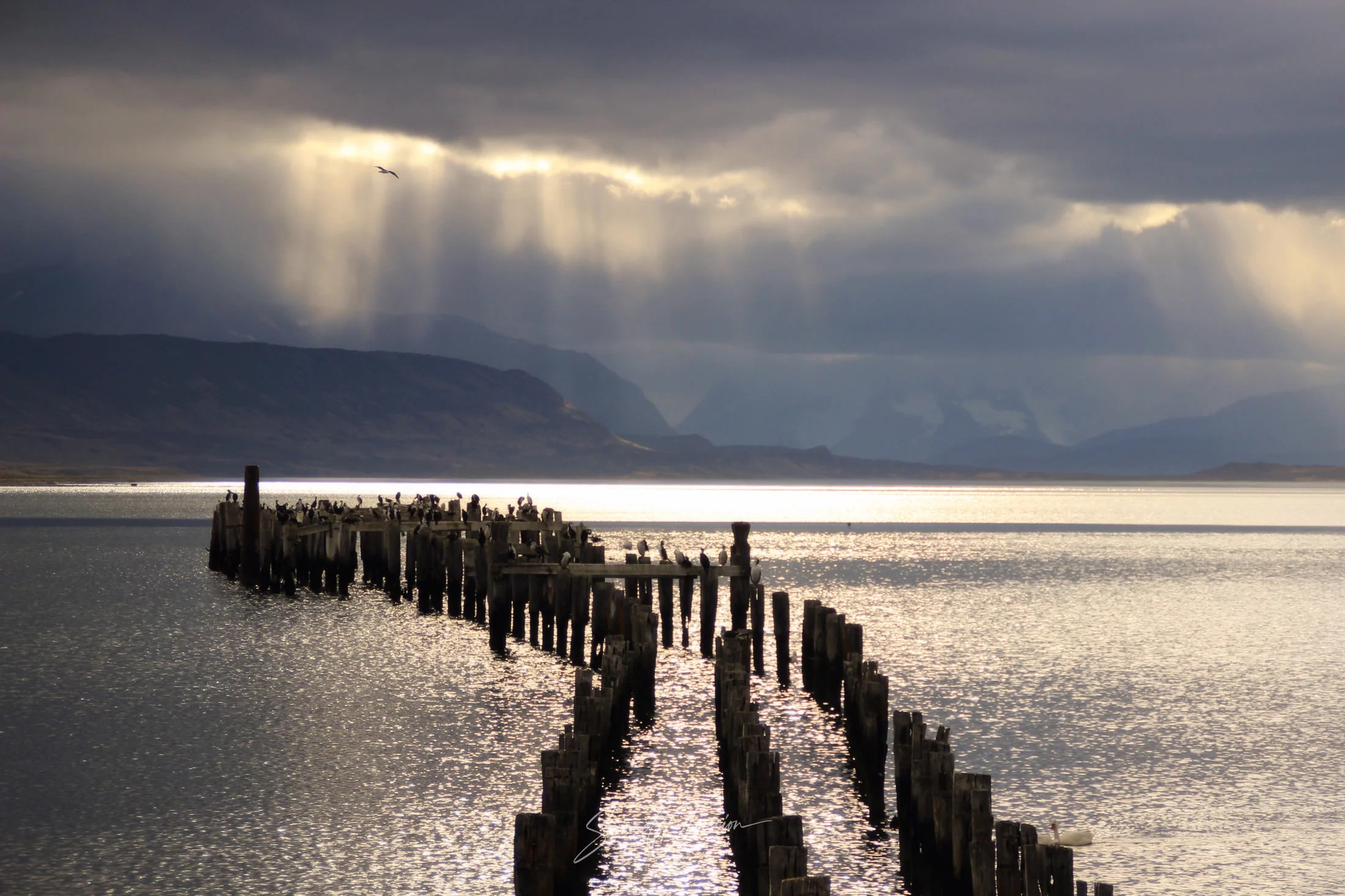 An Old pier in Puerto Natales at sunset