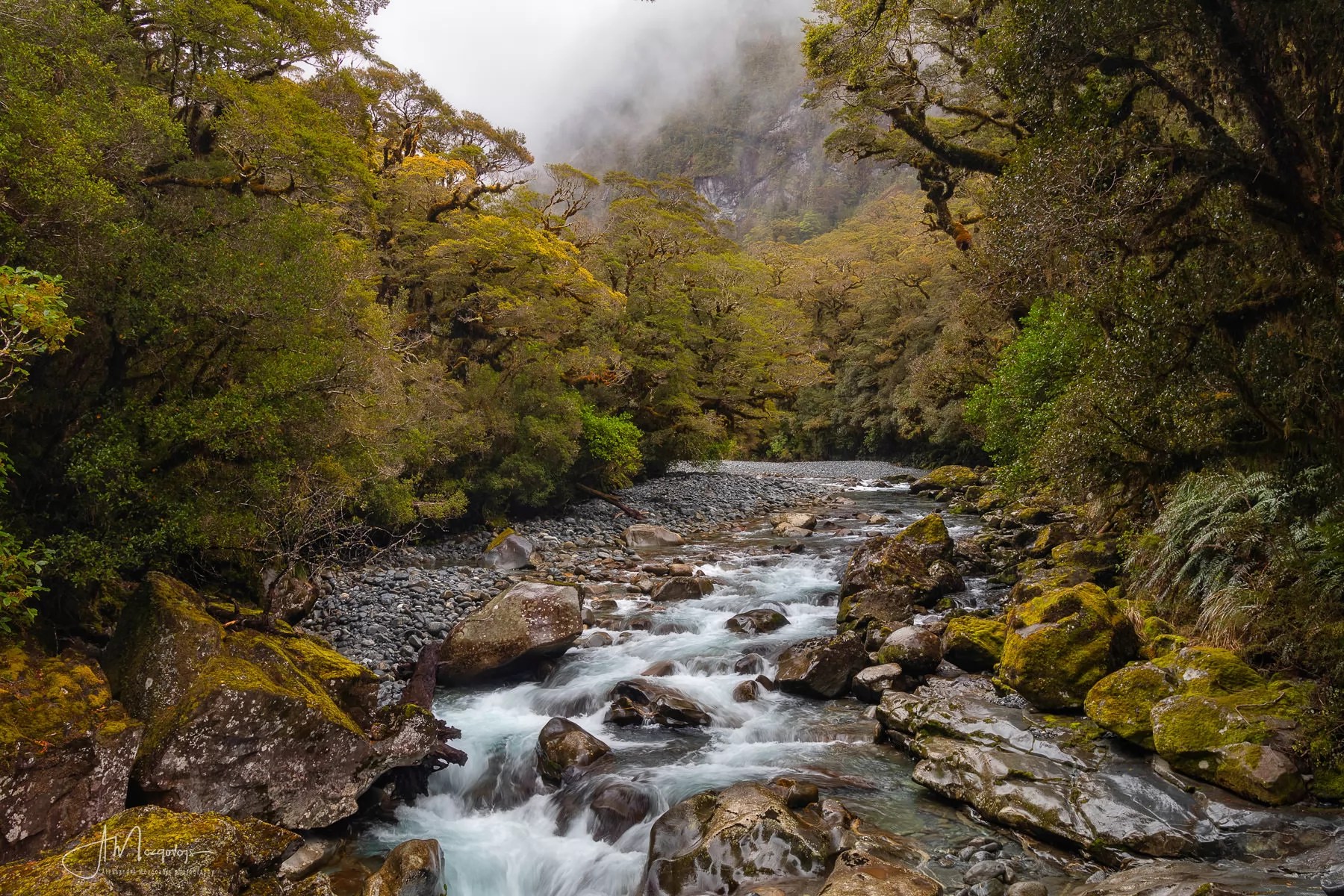 The Chasm stream, New Zealand