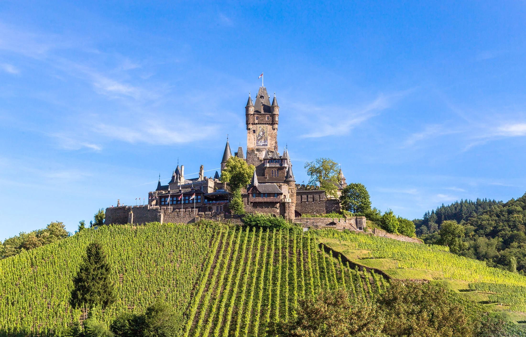 Vineyards used as leading lines to the Cochem castle