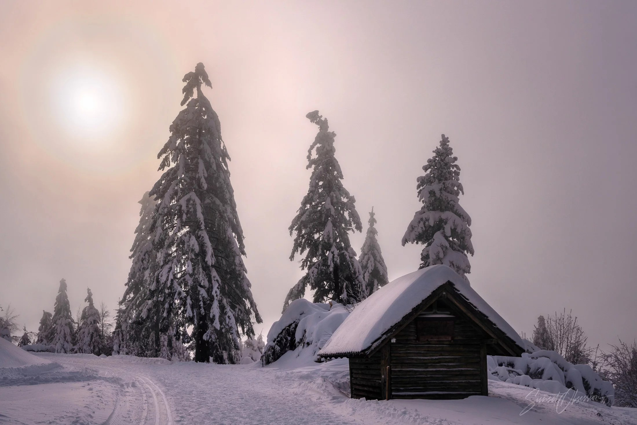 A cabin in the woods in the Black Forest
